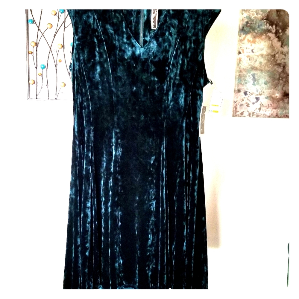 Beautiful dark green velvet dress